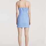 Berry Dress