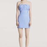 Berry Dress