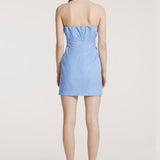 Berry Dress