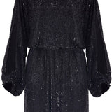 Sequined Dear Dress