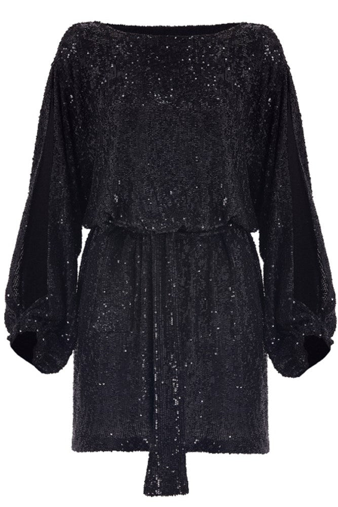 Sequined Dear Dress